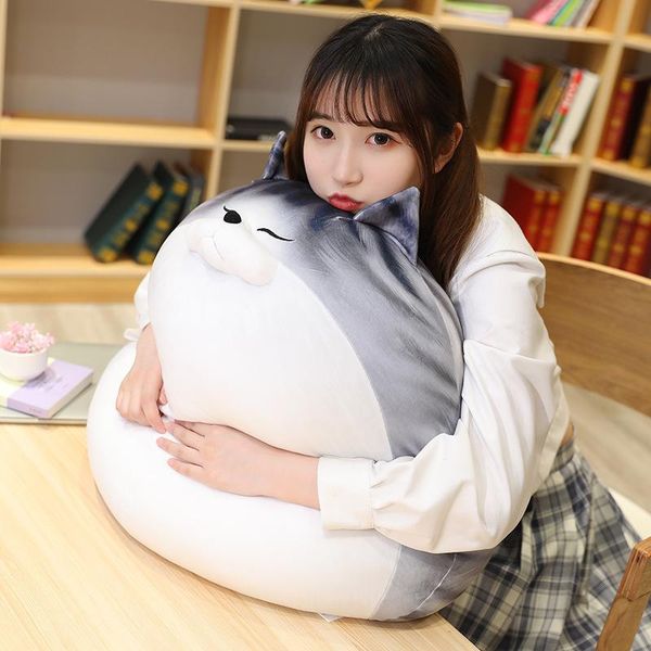 cushion/decorative pillow japanese cute pet kittens cats cushion super soft big bed rag plush dolls wondo
cushion/decorative pillow japanese cute pet kittens cats cushion super soft big bed rag plush dolls wondo