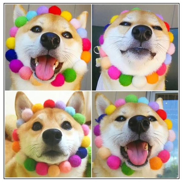 dog collars & leashes cute pet rainbow fur ball collar cat and christmas necklace po decoration props teddy accessories
dog collars & leashes cute pet rainbow fur ball collar cat and christmas necklace po decoration props teddy accessories