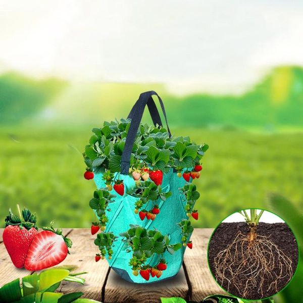 planters & pots 3 gallon 10-mouth felt strawberry planting growing bag vegetable jardin seedling plant container pouch
planters & pots 3 gallon 10-mouth felt strawberry planting growing bag vegetable jardin seedling plant container pouch