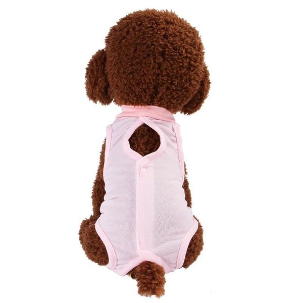 dog apparel puoupuou solid clothes summer dogs coat cotton pets clothing for small medium dogs/cats pink blue ropa para perros
dog apparel puoupuou solid clothes summer dogs coat cotton pets clothing for small medium dogs/cats pink blue ropa para perros