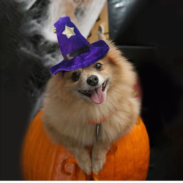 cat costumes 1/2pcs halloween funny hat pet cap dog costume christmas party accessories yorkie chihuahua star bell headdress supplies
cat costumes 1/2pcs halloween funny hat pet cap dog costume christmas party accessories yorkie chihuahua star bell headdress supplies