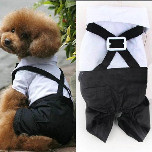 dog apparel tuxedo gentleman clothes four leg pants pet clothing prince cute bow tie suit puppy costume jumpsuit jacket
dog apparel tuxedo gentleman clothes four leg pants pet clothing prince cute bow tie suit puppy costume jumpsuit jacket