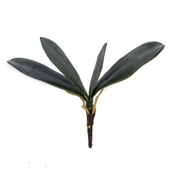 artificial green butterfly orchid plastic leaf real touch beauty plant decor for wedding diy wreath gift decorative flowers & wreaths
artificial green butterfly orchid plastic leaf real touch beauty plant decor for wedding diy wreath gift decorative flowers & wreaths