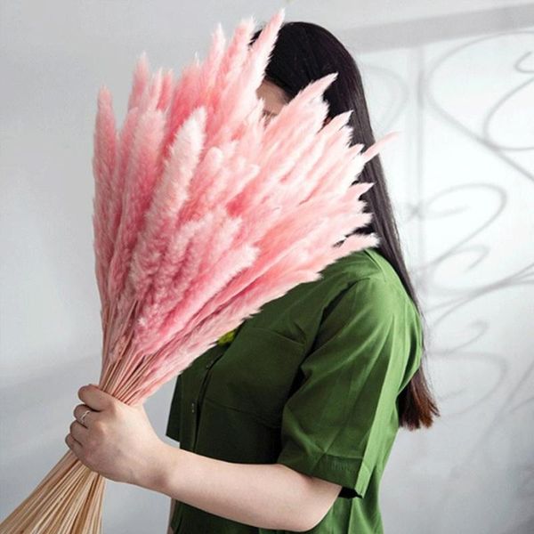 colors natural dried flowers small pampas grass phragmites for decor home diy wedding plants decoration artificial decorative & wreaths
colors natural dried flowers small pampas grass phragmites for decor home diy wedding plants decoration artificial decorative & wreaths