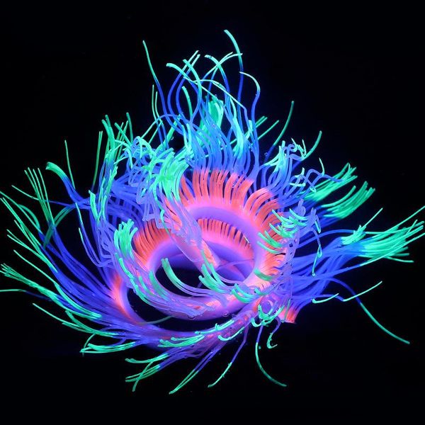 aquarium landscaping decoration silicone simulation software corals - sea anemone decorations
aquarium landscaping decoration silicone simulation software corals - sea anemone decorations