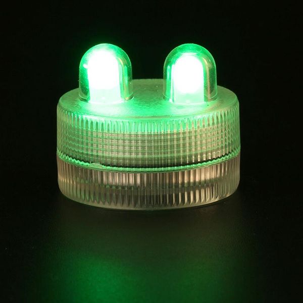 strings fast shipment 100pcs waterproof led lights for cakes decoration with 2 leds tea lights- teal
strings fast shipment 100pcs waterproof led lights for cakes decoration with 2 leds tea lights- teal