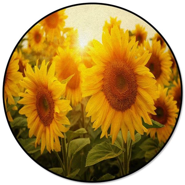 carpets sunflower carpet for living room children bed floor round home decor rugs soft mat
carpets sunflower carpet for living room children bed floor round home decor rugs soft mat