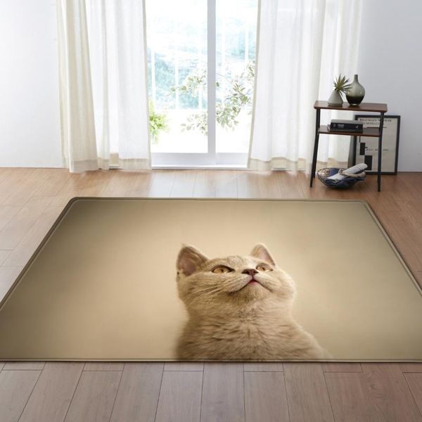 carpets muzzi modern cat printed door mats anti-slip mat hallway bathroom living room bedroom carpet home rugs
carpets muzzi modern cat printed door mats anti-slip mat hallway bathroom living room bedroom carpet home rugs