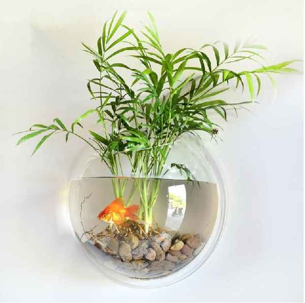 aquariums 2021 acrylic mount aquarium small creative tank wall decoration home decor
aquariums 2021 acrylic mount aquarium small creative tank wall decoration home decor