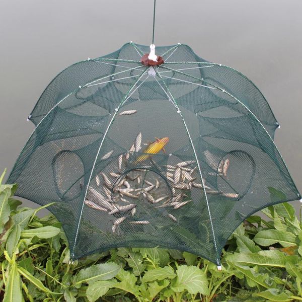 fishing accessories fish trap net nylon foldable crab equipment wear prawn cage minnow luminous beads
fishing accessories fish trap net nylon foldable crab equipment wear prawn cage minnow luminous beads