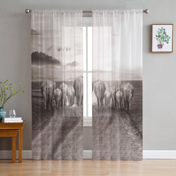 curtain & drapes animal grassland elephant tulle curtains decor sheer for living room bedroom kitchen home at window panels
curtain & drapes animal grassland elephant tulle curtains decor sheer for living room bedroom kitchen home at window panels