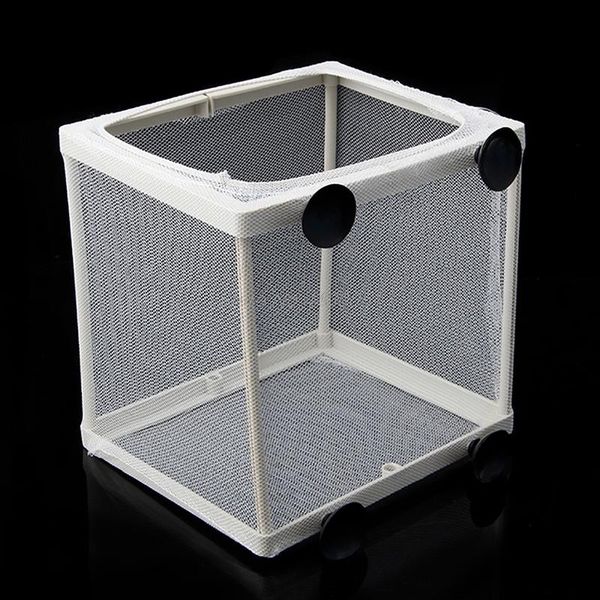 decorations aquarium fish tank guppy breeding breeder baby gauze trap box isolator s/l
decorations aquarium fish tank guppy breeding breeder baby gauze trap box isolator s/l
