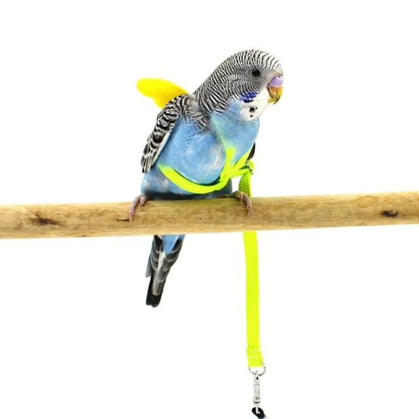 other bird supplies pet parrot harness leash anti-bite flying training rope outdoor adjustable anti traction strap
other bird supplies pet parrot harness leash anti-bite flying training rope outdoor adjustable anti traction strap