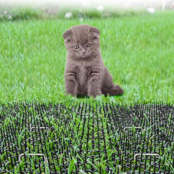 carpets 30pcs balcony anti-cat net garden mat flower drive cat plastic pet stab home animal
carpets 30pcs balcony anti-cat net garden mat flower drive cat plastic pet stab home animal