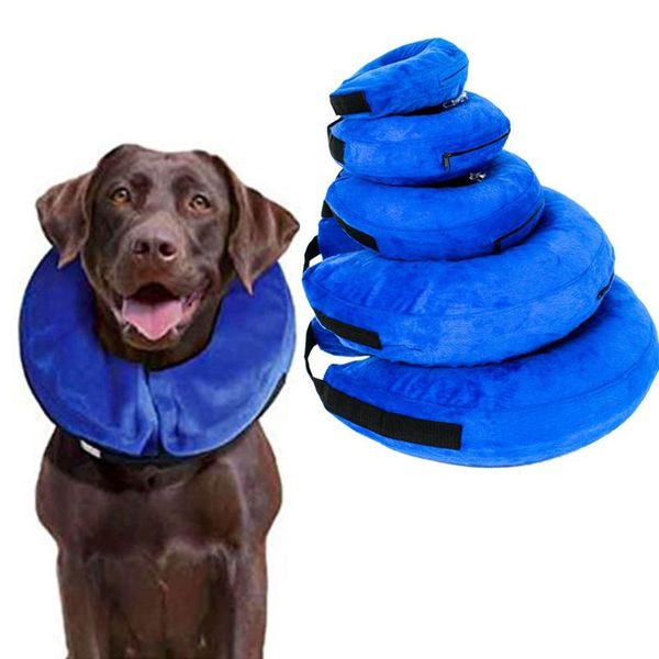 dog collars & leashes inflatable pet collar anti bite lifebuoy cat elizabethan dogs swimming neck ring puppy swim protector float
dog collars & leashes inflatable pet collar anti bite lifebuoy cat elizabethan dogs swimming neck ring puppy swim protector float