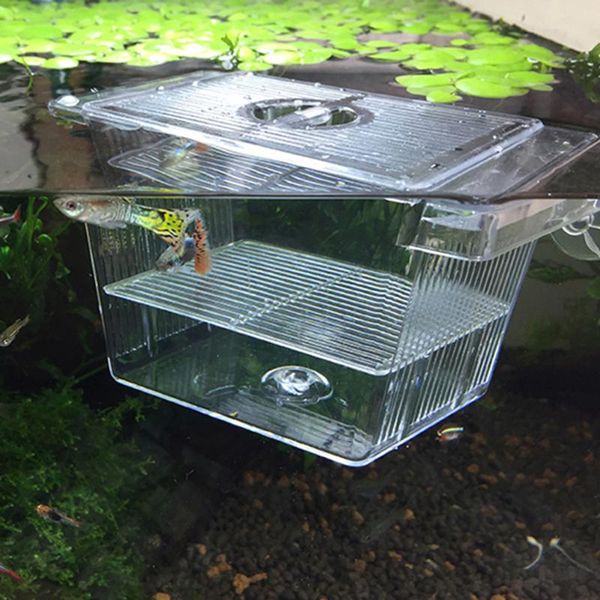 aquariums 2021 incubator aquarium hanging hatchery box fish tank breeding transparent acrylic holder