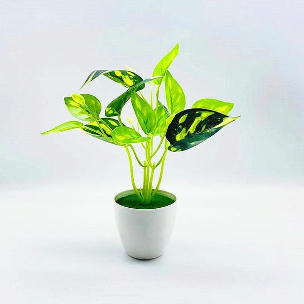 decorative flowers & wreaths artificial green plant potted plant, home decoration,22cm dill, perilla leaf bonsai, deskornaments for holi
decorative flowers & wreaths artificial green plant potted plant, home decoration,22cm dill, perilla leaf bonsai, deskornaments for holi