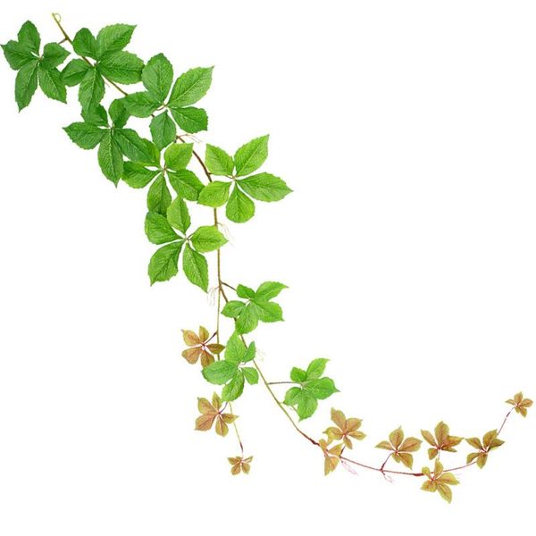 decorative flowers & wreaths pastoral style artificial ivy vine, simulation hanging plant rattan for wedding decoration
decorative flowers & wreaths pastoral style artificial ivy vine, simulation hanging plant rattan for wedding decoration