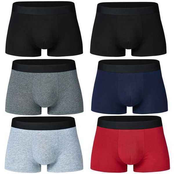 plus size male underwear 6 pcs/lot men underwear boxers shorts cotton cuecas boxer men solid underpants man boxer large, Black;white
plus size male underwear 6 pcs/lot men underwear boxers shorts cotton cuecas boxer men solid underpants man boxer large, Black;white