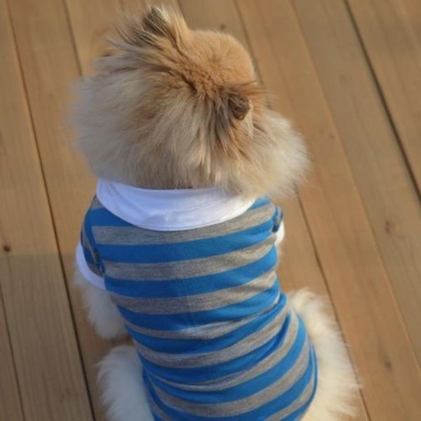 dog apparel spring and summer leisure styles pet clothing comfortable breathable fashion classic lapel stripe t-shirt small
dog apparel spring and summer leisure styles pet clothing comfortable breathable fashion classic lapel stripe t-shirt small