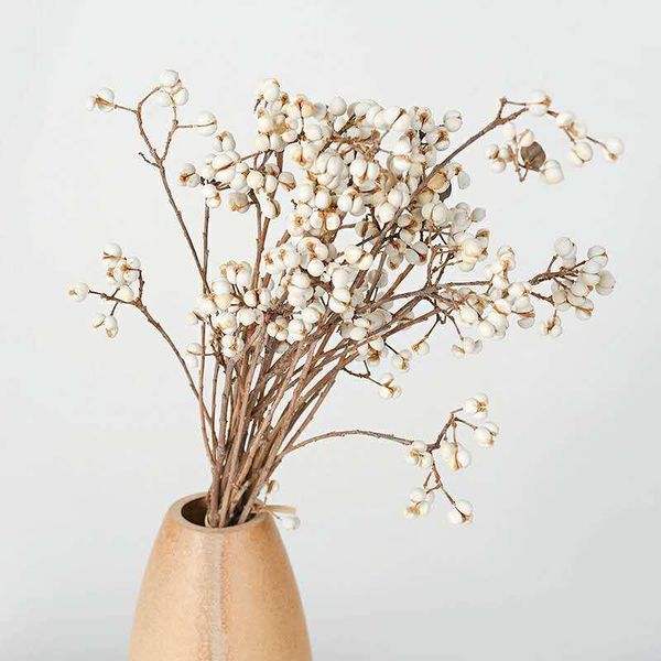 natural preserved flowers ginkgo dried flower diy bouquet family wedding party floral office decoration materials decorative & wreaths
natural preserved flowers ginkgo dried flower diy bouquet family wedding party floral office decoration materials decorative & wreaths