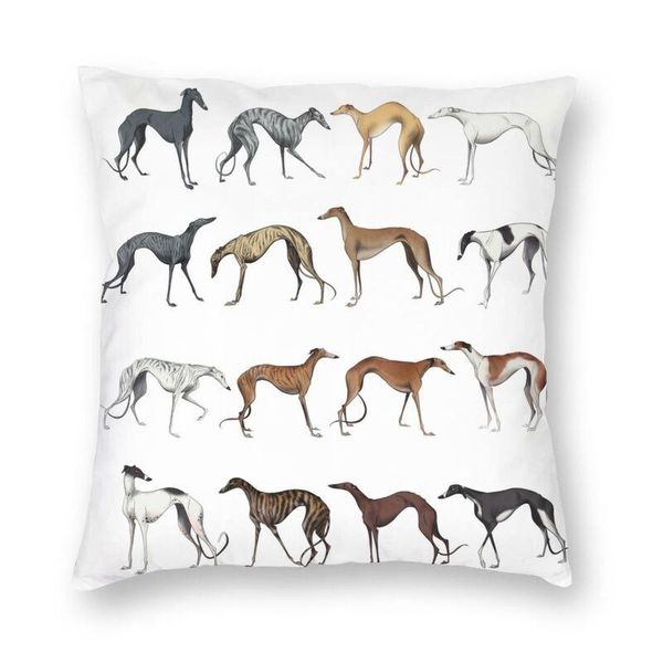 cushion/decorative pillow cute whippet sighthound dog square case home decor greyhound hound cushions throw for sofa double-sided printing
cushion/decorative pillow cute whippet sighthound dog square case home decor greyhound hound cushions throw for sofa double-sided printing