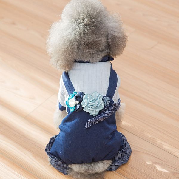korean flower dog cloth autumn and winter thickened princs teddy bear bomei puppy small pet four feet
korean flower dog cloth autumn and winter thickened princs teddy bear bomei puppy small pet four feet
