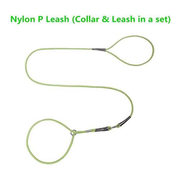 120cm solid color nylon rope adjustable p chain slip collar dog training leash pet puppy walking lead for chihuahua teddy collars & leashes
120cm solid color nylon rope adjustable p chain slip collar dog training leash pet puppy walking lead for chihuahua teddy collars & leashes
