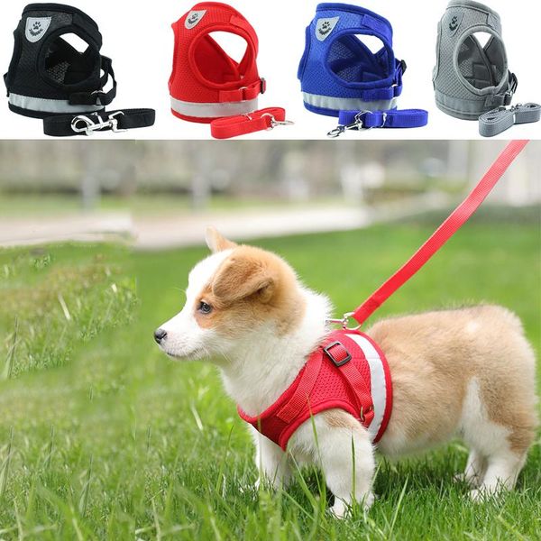 small and medium-sized dog leash polyester mesh belt pet adjustable reflective breathable strap collars & leashes
small and medium-sized dog leash polyester mesh belt pet adjustable reflective breathable strap collars & leashes