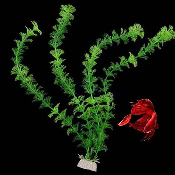 decorations 32cm underwater fish aquarium plants ornaments tank plant green water grass decor decoration
decorations 32cm underwater fish aquarium plants ornaments tank plant green water grass decor decoration