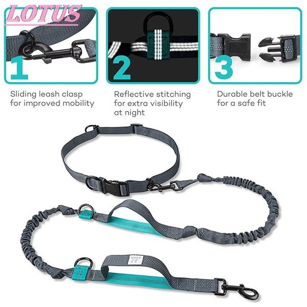 reflective leash traction pet dog running belt elastic rope jogging pull sale 1pc collars & leashes
reflective leash traction pet dog running belt elastic rope jogging pull sale 1pc collars & leashes