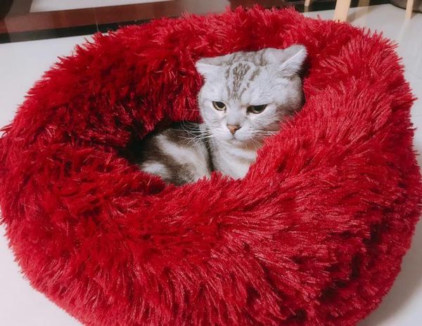 dog houses & kennels accessories pet bed cat deep sleep plush round kennel nest autumn and winter pad supplies
dog houses & kennels accessories pet bed cat deep sleep plush round kennel nest autumn and winter pad supplies
