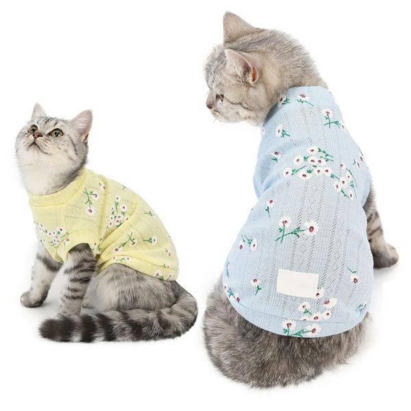 pet cat winter sweater casual homewear clothing dasiy patterns sweatshirt puppy pullover dogs pets costumes
pet cat winter sweater casual homewear clothing dasiy patterns sweatshirt puppy pullover dogs pets costumes