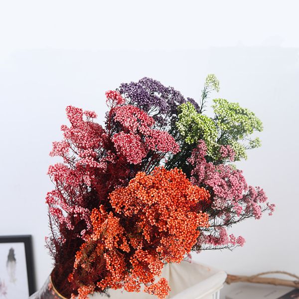 natural plant dried flowers preserved fresh immortal millet bouquets flores paniculata grass home decor wedding decoration
natural plant dried flowers preserved fresh immortal millet bouquets flores paniculata grass home decor wedding decoration