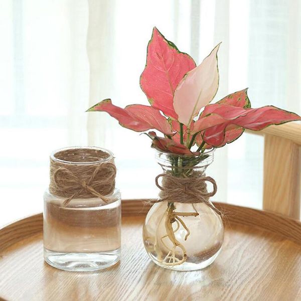 planters & pots 1pc creative plastic flowerpot transparent hydroponics green plant diy ornaments home living room garden decoration
planters & pots 1pc creative plastic flowerpot transparent hydroponics green plant diy ornaments home living room garden decoration