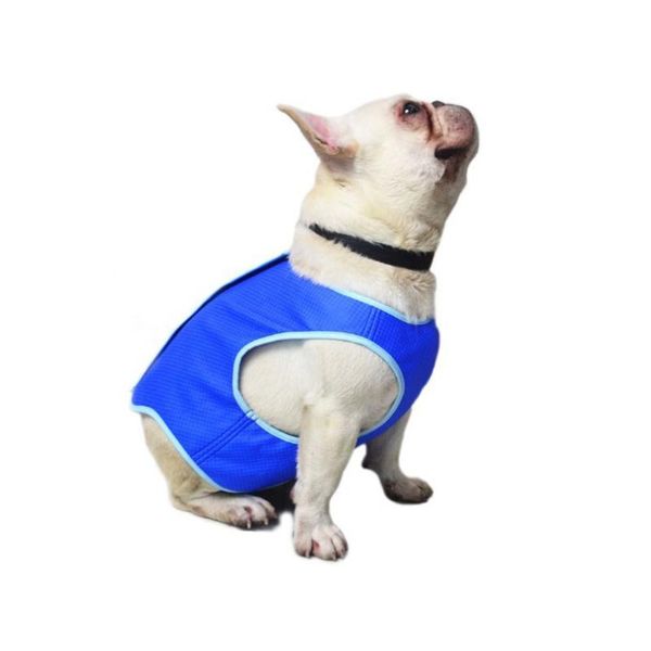 dog apparel summer cooling jacket coat vest t-shirt breathable safe non-toxic pet clothes comfortable for dogs
dog apparel summer cooling jacket coat vest t-shirt breathable safe non-toxic pet clothes comfortable for dogs
