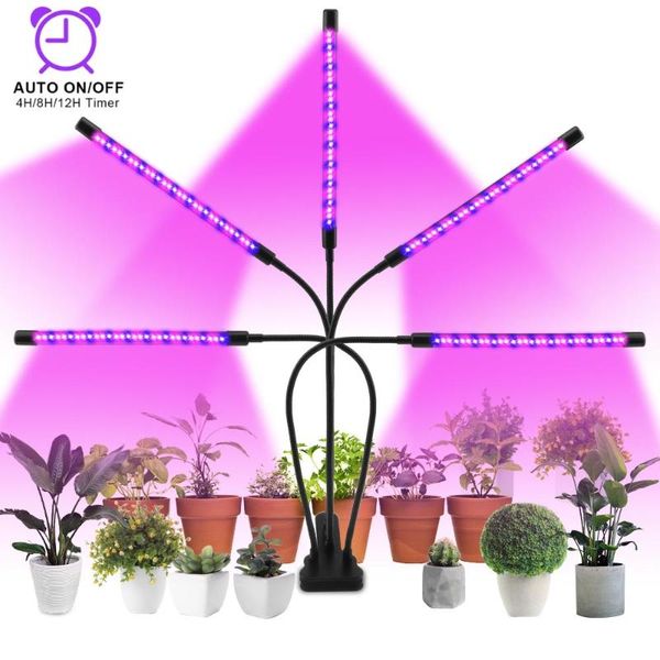 grow lights 5 head 150 led light full spectrum usb growing phyto lamp with timer deskclip phytolamp for plants seedlings flower box
grow lights 5 head 150 led light full spectrum usb growing phyto lamp with timer deskclip phytolamp for plants seedlings flower box