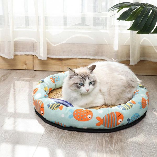 cat beds & furniture ice mat nest animal pet house cats products for pets acessorios and mats accessories goods animals kitten
cat beds & furniture ice mat nest animal pet house cats products for pets acessorios and mats accessories goods animals kitten