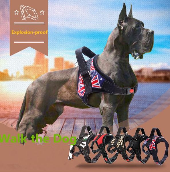 dog collars & leashes m5 big size adjustable pet harness collar leopard professional outdoor hand strap for large dogs pitbulls labrador
dog collars & leashes m5 big size adjustable pet harness collar leopard professional outdoor hand strap for large dogs pitbulls labrador