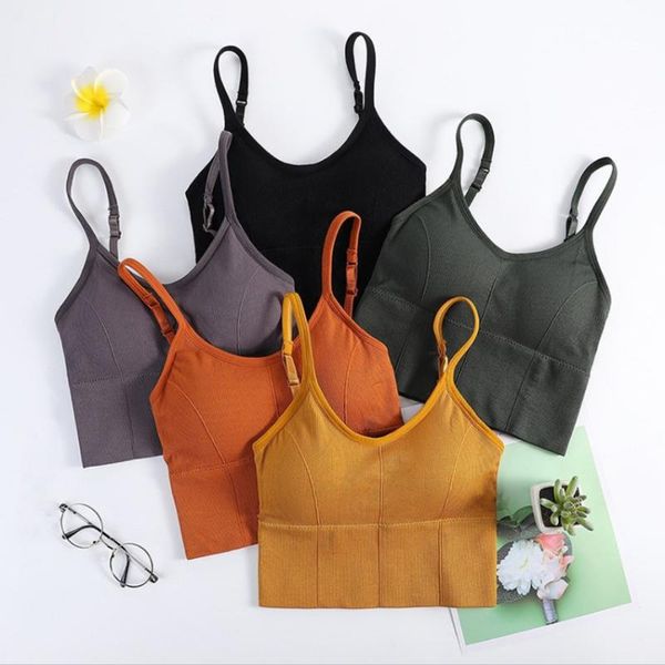 running yoga cotton sports bras women push up solid sportsbra jogging gym girl underwear fitness yoga outfit
running yoga cotton sports bras women push up solid sportsbra jogging gym girl underwear fitness yoga outfit