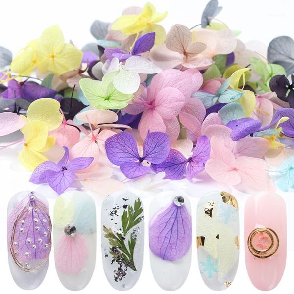 mixed dried flowers nail art decoration colorful natural blossom floral stickers 3d summer designs manicure accessories sa15051, Silver;gold
mixed dried flowers nail art decoration colorful natural blossom floral stickers 3d summer designs manicure accessories sa15051, Silver;gold