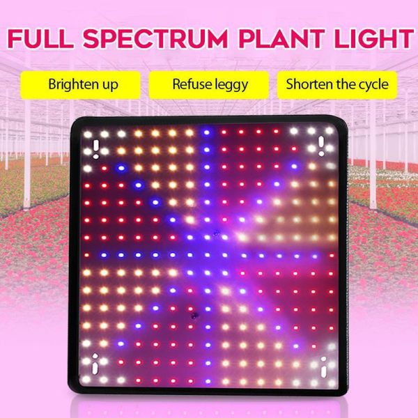 grow light red and blue spectrum led plant potted greenhouses indoor phyto lamp tent 3000k/5000k us eu uk au plug lights
grow light red and blue spectrum led plant potted greenhouses indoor phyto lamp tent 3000k/5000k us eu uk au plug lights