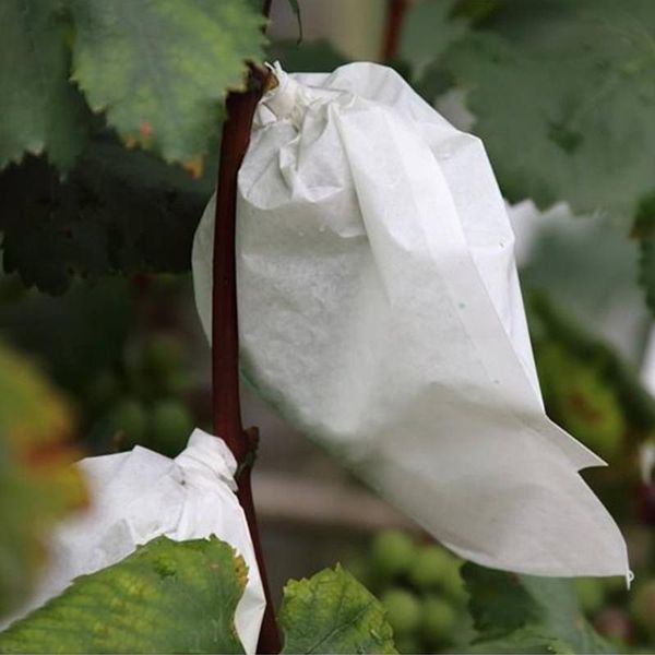 planters & pots 50pcs grape protection bag anti-bird moisture insect net vegetable fruit protect breeding prevent tree from damage
planters & pots 50pcs grape protection bag anti-bird moisture insect net vegetable fruit protect breeding prevent tree from damage
