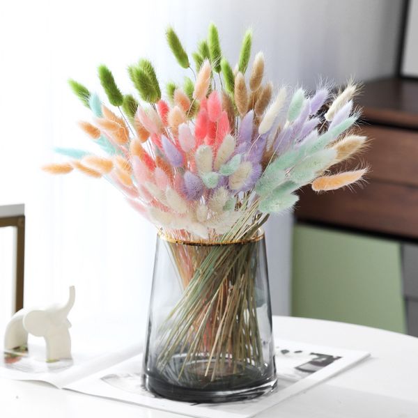 30pcs natural pampas grass dried flower rabbit tail bouquet wedding decoration herbe pampa home decor artificial flower wall
30pcs natural pampas grass dried flower rabbit tail bouquet wedding decoration herbe pampa home decor artificial flower wall
