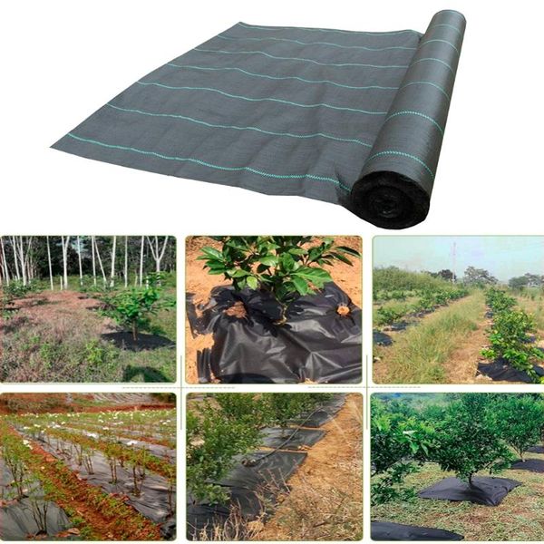 other garden supplies agriculture barrier landscape fabric ground cover mat plastic plant grow care cloth black pp
other garden supplies agriculture barrier landscape fabric ground cover mat plastic plant grow care cloth black pp