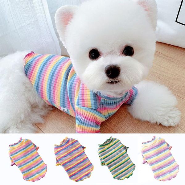 cat costumes pet autumn and winter clothes puppy dog vest small cotton coat female chihuahua teddy bear hiromi spring outfit
cat costumes pet autumn and winter clothes puppy dog vest small cotton coat female chihuahua teddy bear hiromi spring outfit