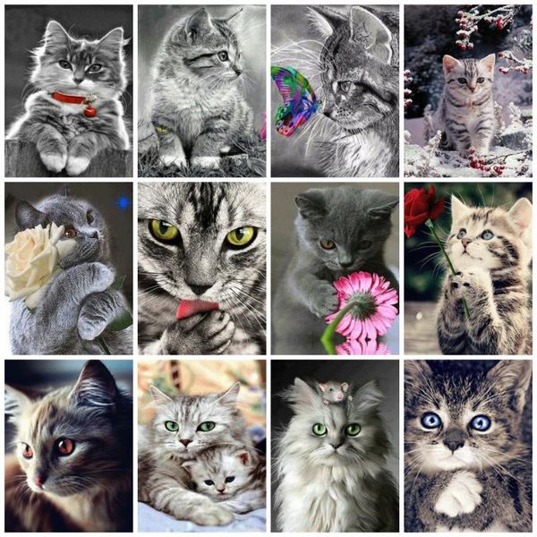 paintings azqsd painting by numbers cat drawing on can oil animal hand paint kit canvas home decor
paintings azqsd painting by numbers cat drawing on can oil animal hand paint kit canvas home decor