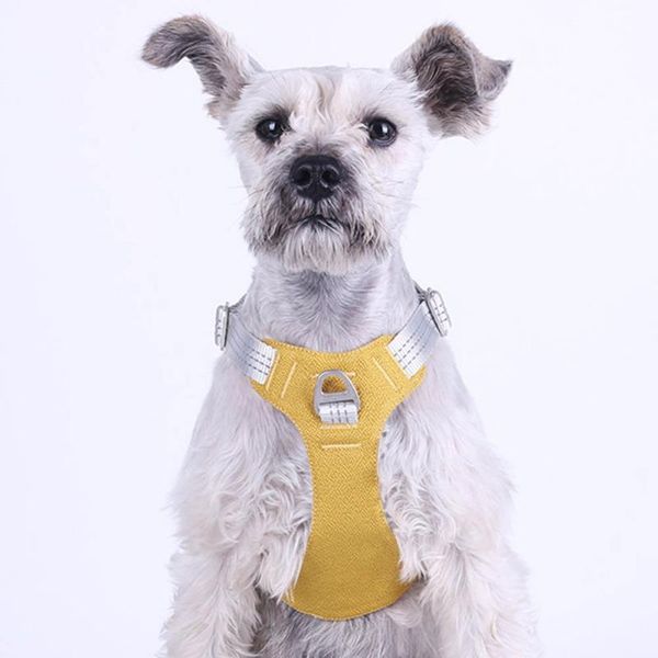 dog collars & leashes pet chest strape harness soft comfortable breathable reflective design cat outdoor walking supplies
dog collars & leashes pet chest strape harness soft comfortable breathable reflective design cat outdoor walking supplies