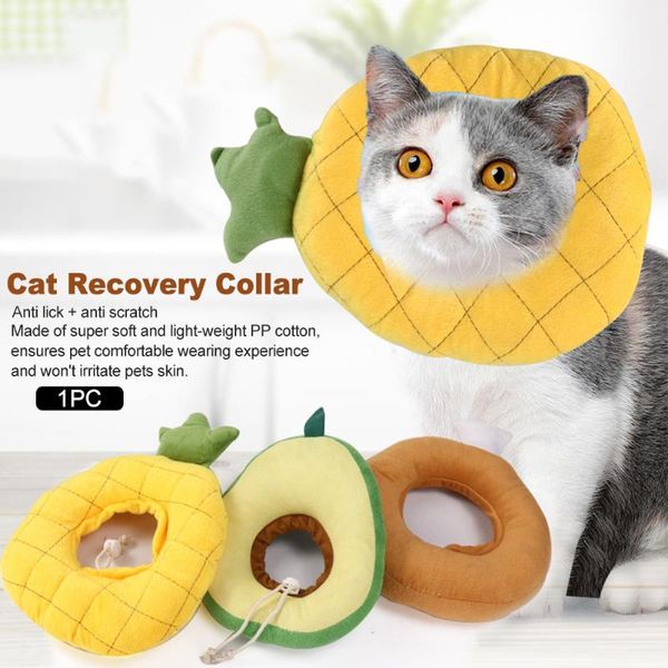 cute health pet dog protective bathing anti-lick cat recovery collar soft elizabethan cone kitten adjustable wound collars & leads
cute health pet dog protective bathing anti-lick cat recovery collar soft elizabethan cone kitten adjustable wound collars & leads