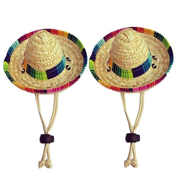 dogs sombrero hat sun party hats for mexican style and cats funny dog costume car seat covers
dogs sombrero hat sun party hats for mexican style and cats funny dog costume car seat covers